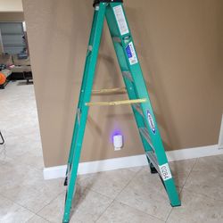 Werner 6ft Ladder