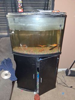 Fish, fish tank and all the supplies