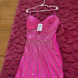 Windsor Hot Pink Rhinestone Dress