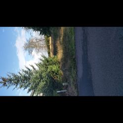 Ocean Shores Lot On Bay Side