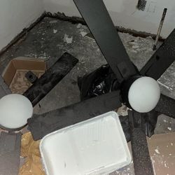 East Bay Ceiling Fan 