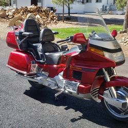 Gold Wing 🪽 