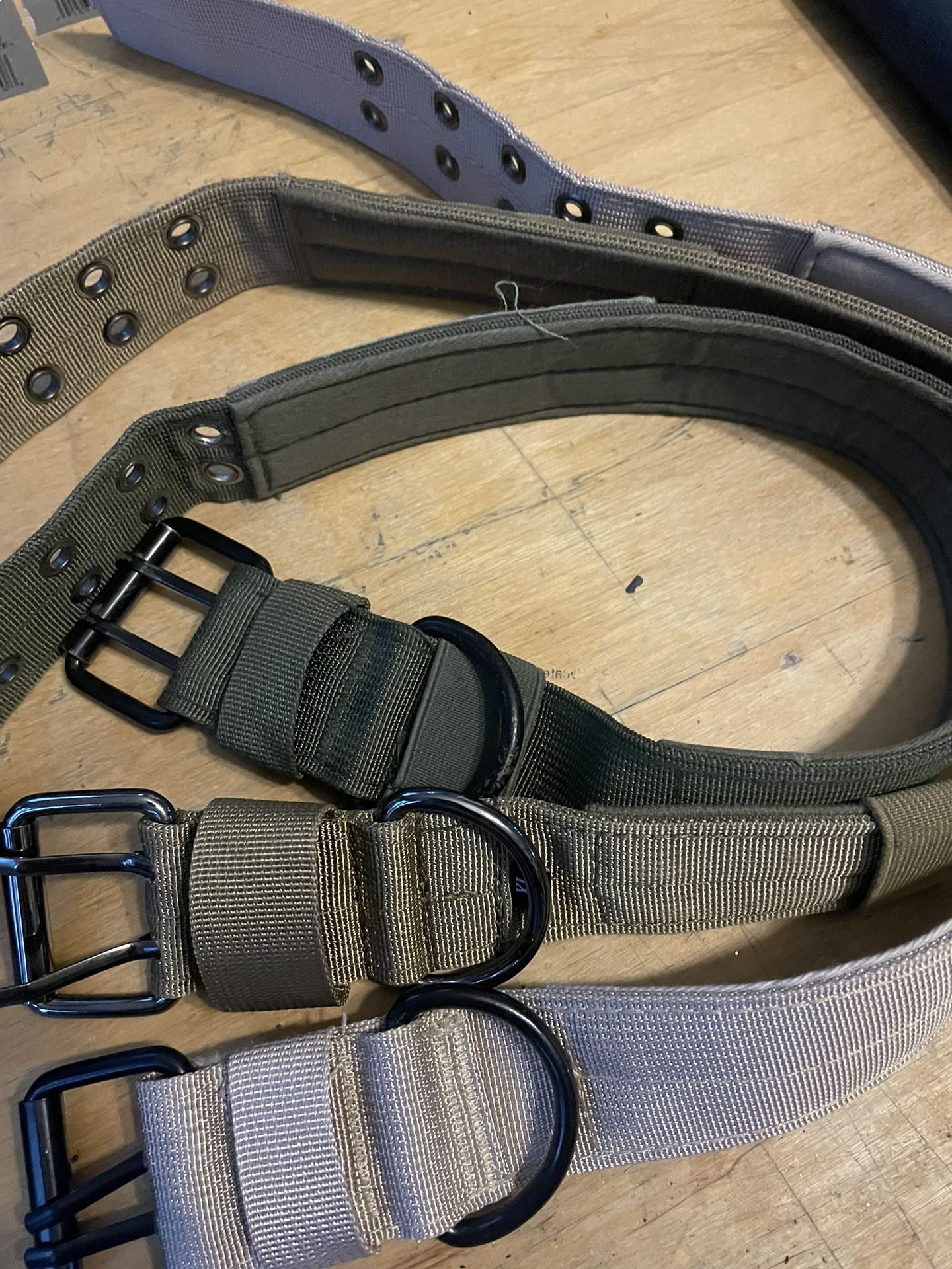 Dog Collar Canvas