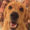 Oscar