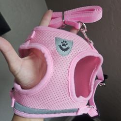 Dog Harness With Leash Size Small 