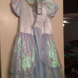 Cinderella Costume 12-14 nice!!