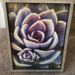 11 X 14 Picture Frame 