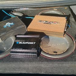 Rockford Fosgate Punch 12 Inch Subwoofer 