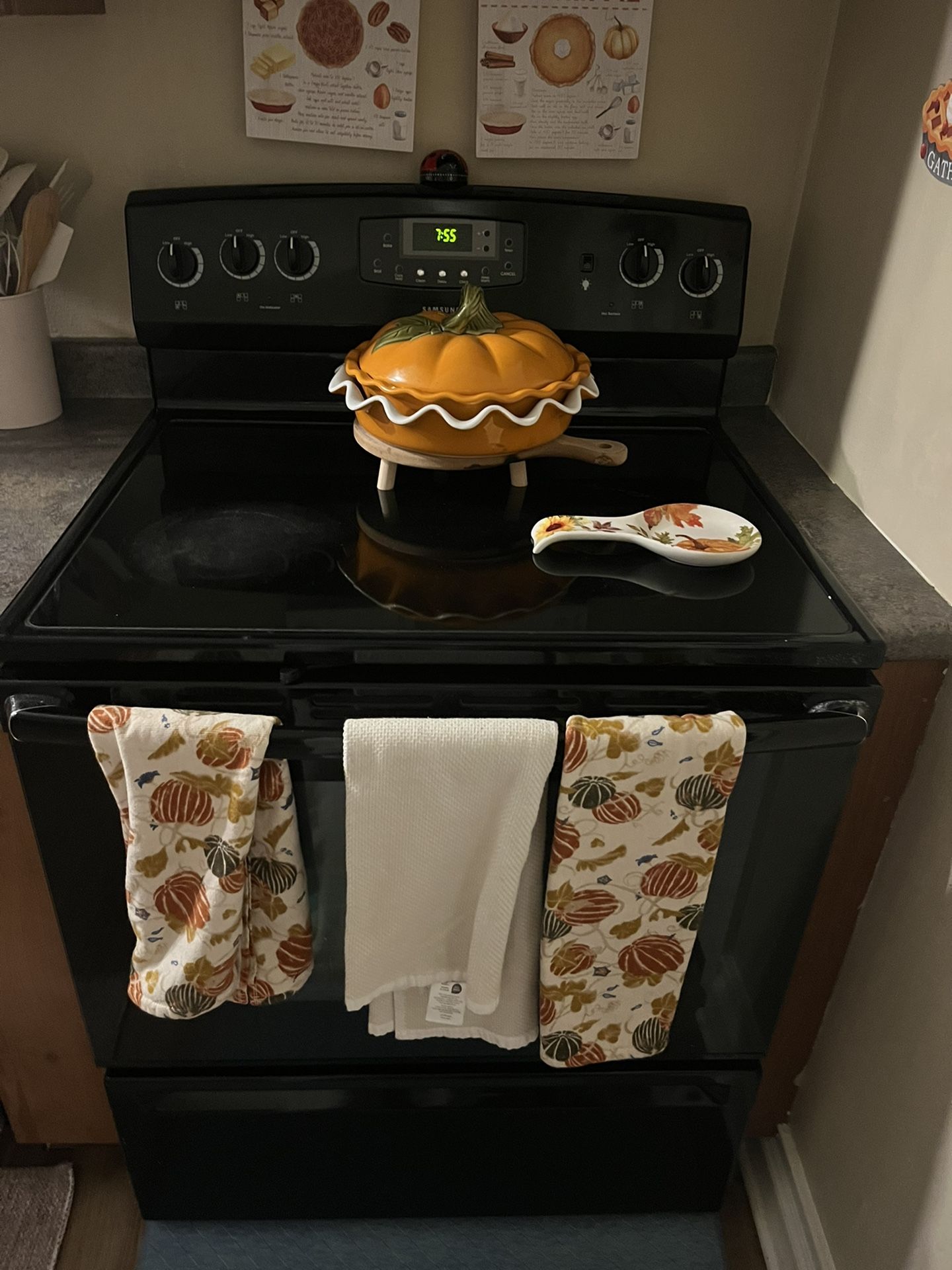 Electric Stove