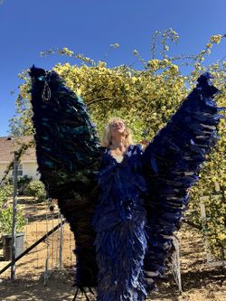 Hand Made Wings For Filming 