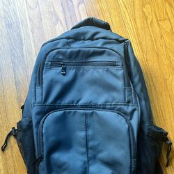 Official Rick Steves Travel Backpack