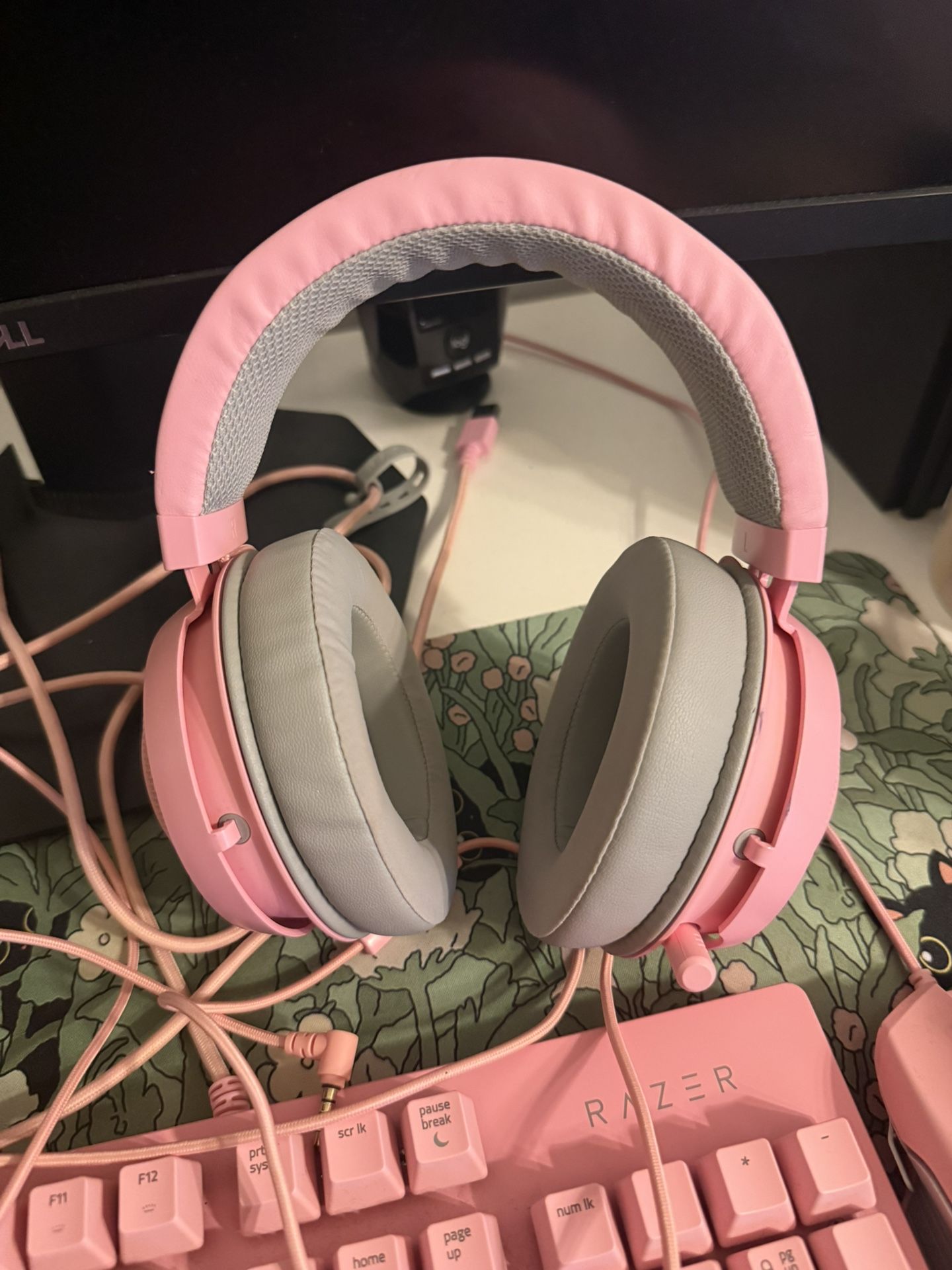 Razer Headphones