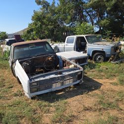 Chevrolet C10 C20 Partes