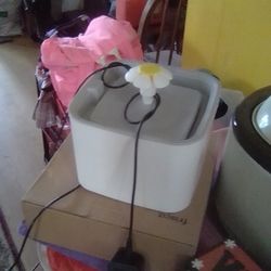 🐕 Dog Or 🐈 Cat Fountain 