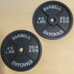 standard barbell weights iron plates 45 lbs 2 