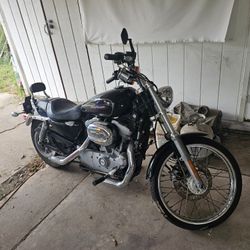 2009 Harley-davidson 883 XL custom Sportster