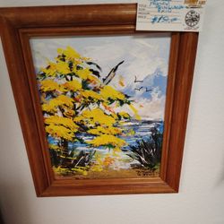 Yellow Poinciana By D. Tynes Gibson 