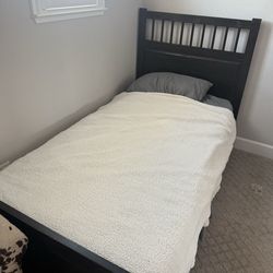 Free Twin Bed and Mattress