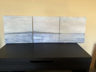 IKEA Canvas 3 Pieces