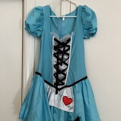 Alice In Wonderland Costume
