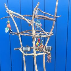 Parrot Perch Tree - Custom Made And A Great Socializer ! Kinda Curvy n Funky , A Great Look ! Loved By Birdees ❤️