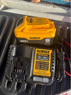 Dewalt battery