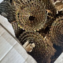 Roofing Coil Nails