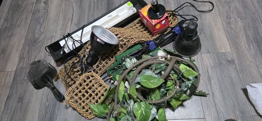 Terrarium accessories