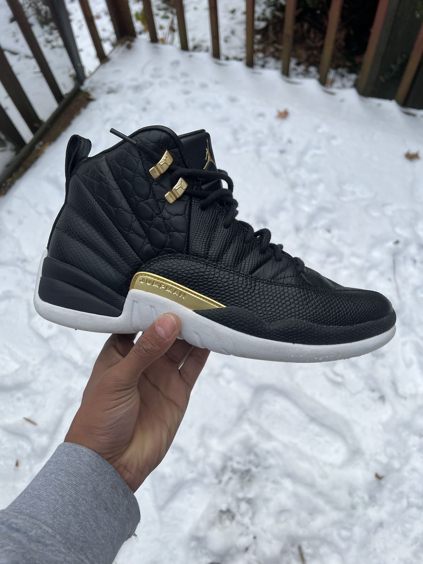 Air Jordan 12 Retro ‘Reptile’