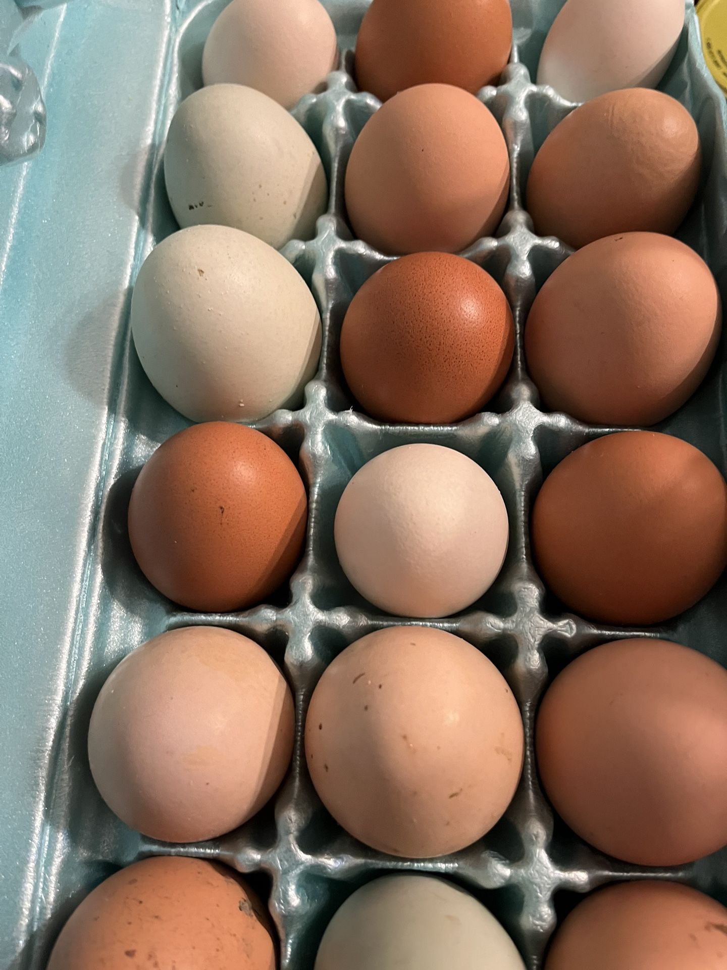 Organic Chicken Eggs
