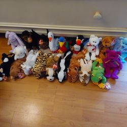 Toy Kid $30 All