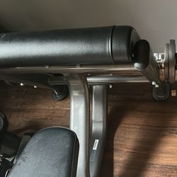 Preacher Curl Machine with bar