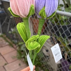 🌷 Tulip Flowers ($5.oo each)