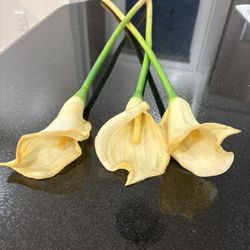 3 Long Stem Calla Lillie’s