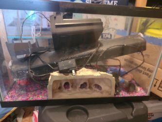 Aquarium Fish Tank 15 Gallon