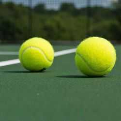 Delray Beach Open 2/18