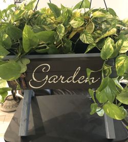Beautiful hand stained hand built planter with garden sign