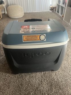 Igloo Cooler