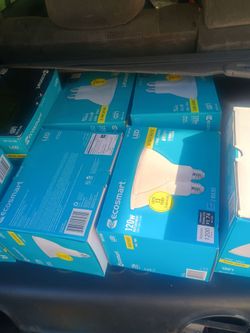 Ecosmart 120W LED PAR38 Bulbs - Bright White - 2 Packs