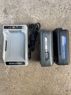 Sunjoe snowJoe 40volt battery and charger