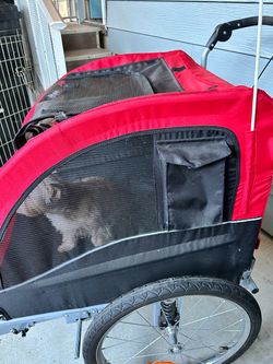 Large Dog Stroller.