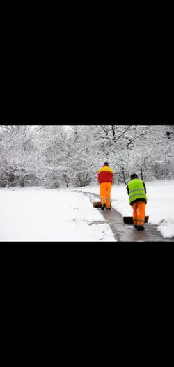 buscando personas que quieran trabajar la nieve