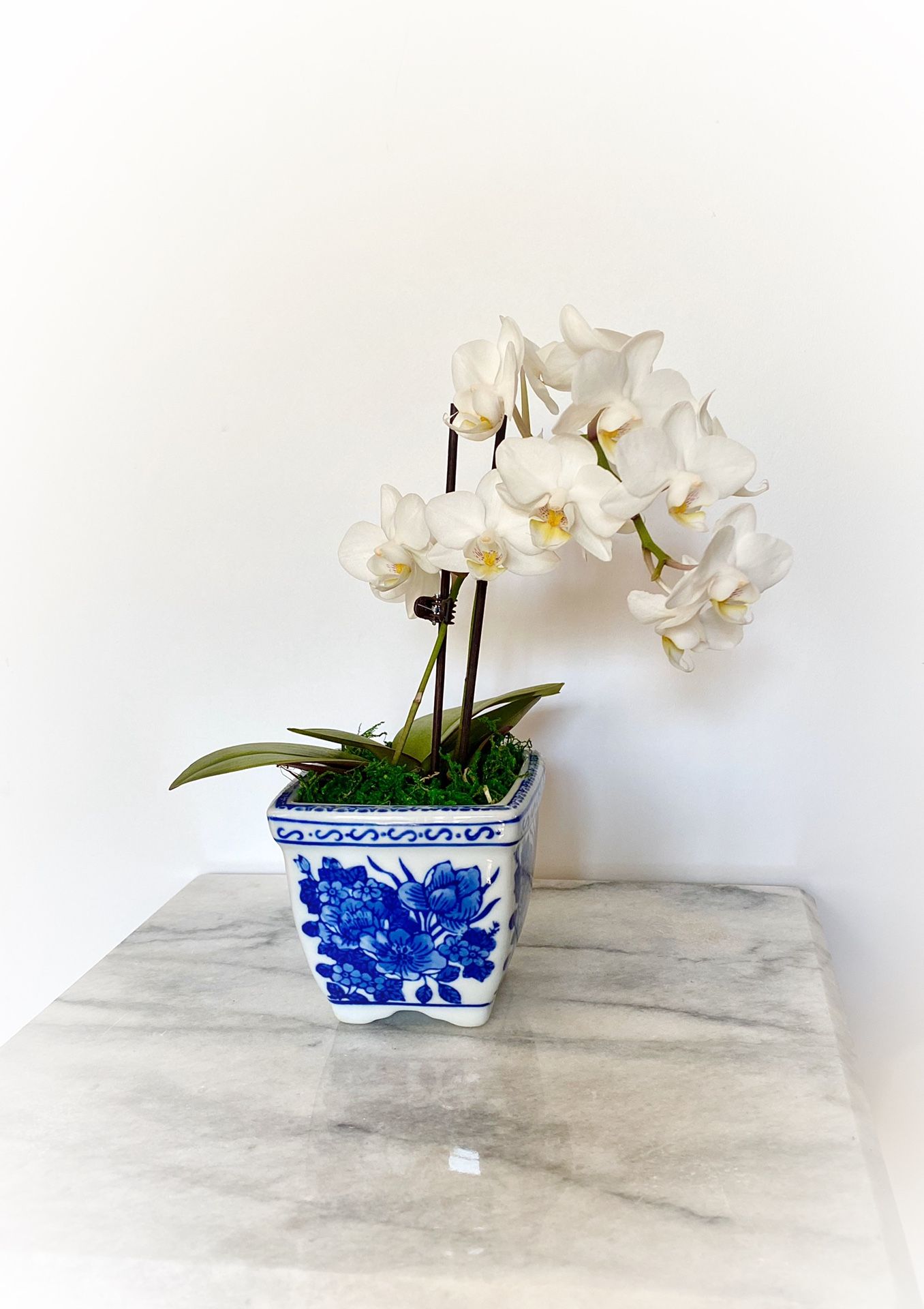 Blue & White Fine Porcelain Ceramic Bowl Planter Pot Only 