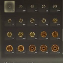 Elden Ring 47 Million Runes 7$ XBOX ONLY 