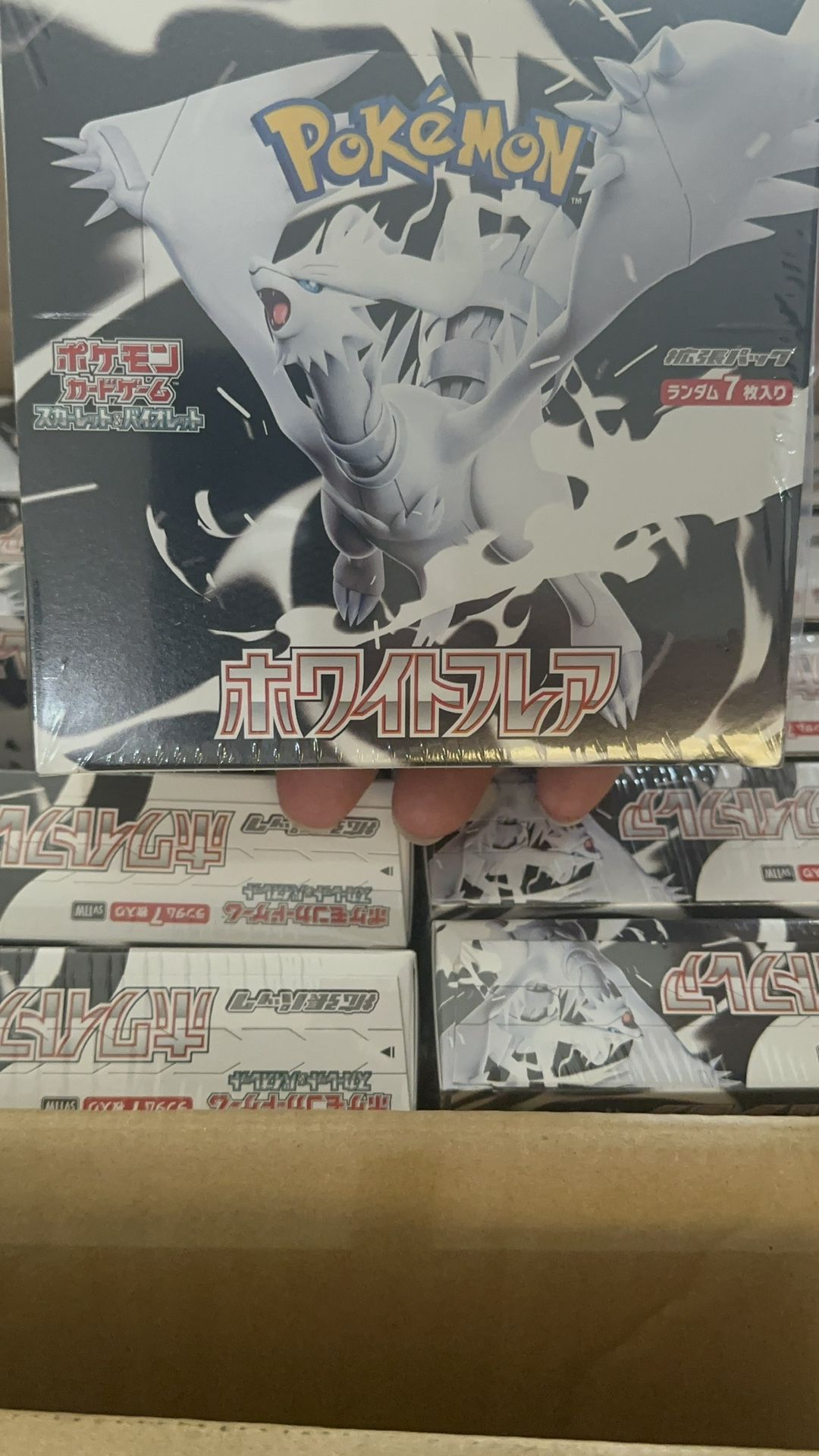 Pokemon Black Bolt and White Flare