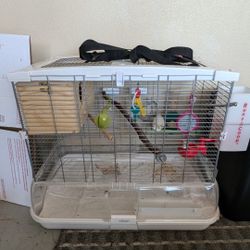 Bird Cage