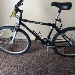 Giant Bike