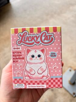 Lucky Cat Kitten Squishy Surprise mystery box