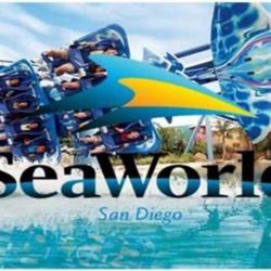 Seaworld One Day Pass 