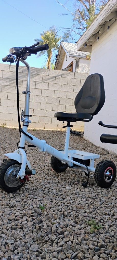 Electric Foldable Scooter